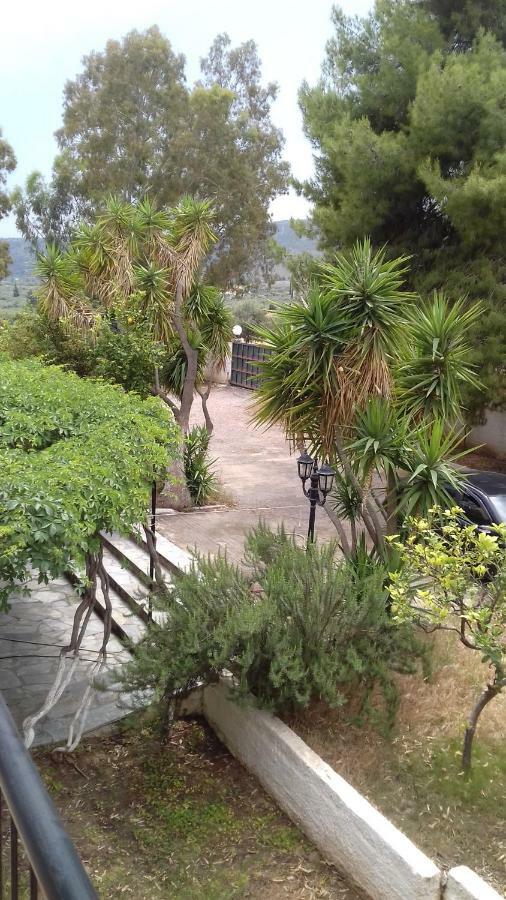 Villa Galaxidi ภายนอก รูปภาพ